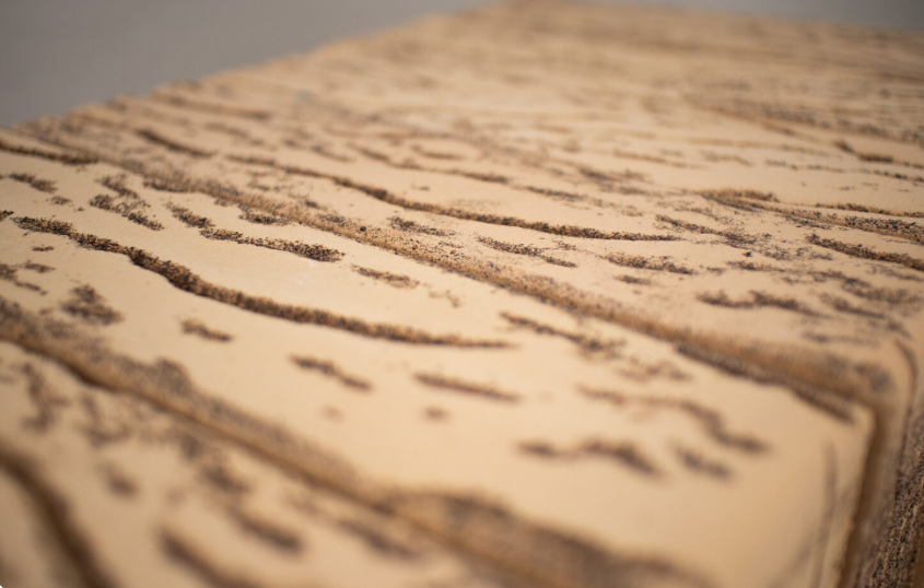 Кротовский Кения